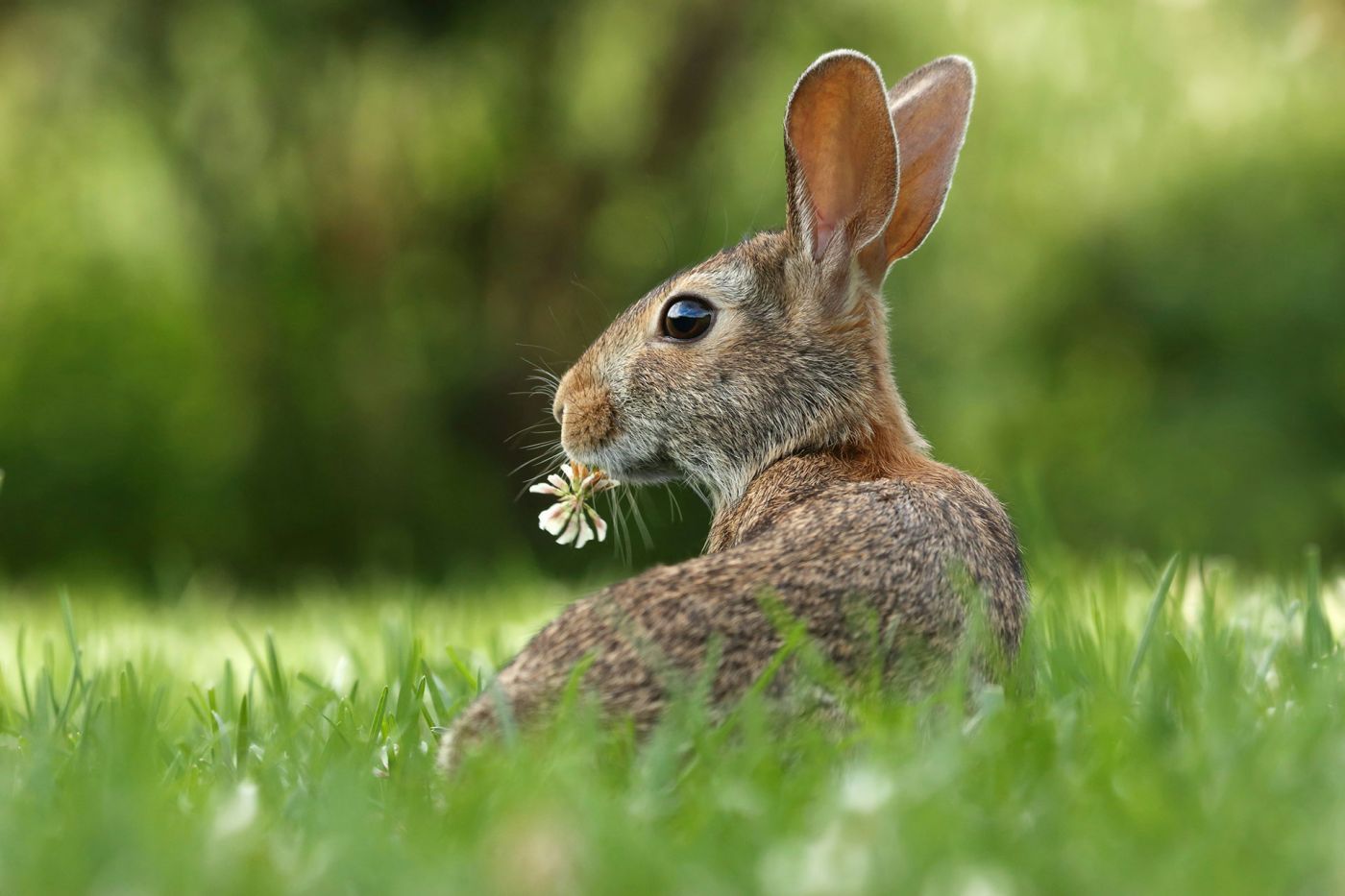 Osteraktion im Granitzentrum: Schatzsuche für Familien in den Osterferien