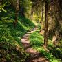 Der Goldsteig