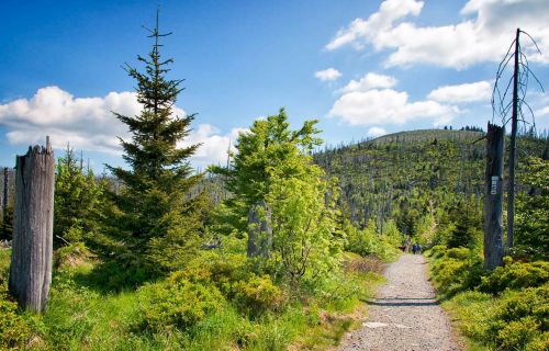 Warum Urlaub in Deutschland? Entdecken Sie den Bayerischen Wald neu