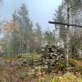 Wanderung zur Bründikapelle und Tiessenberg