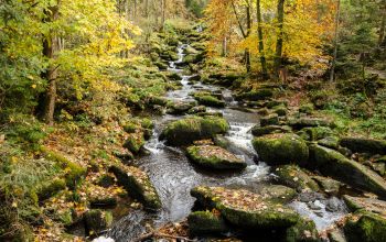 Saußbachklamm Waldkirchen