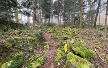 Ruhmannsberg – Wanderweg