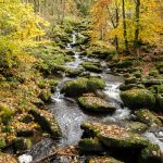 Saußbachklamm Waldkirchen