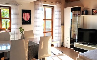 Ferienwohnung Haus OSSER 406