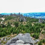 Entdecken Sie den Bayerischen Wald