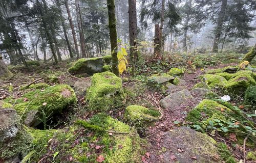 Entdeckungstouren in Büchlberg bei wechselhaftem Wetter: Tipps für ruhige Urlaubstage