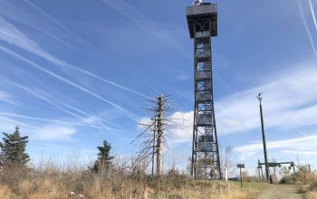 Aussichtsturm Oberfrauenwald
