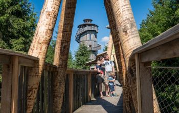 Baumkronenweg Kopfing besuchen