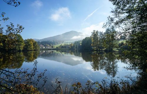 Nachhaltiger Urlaub im Bayerischen Wald – Natürlich erholen im Feriendorf Hauzenberg