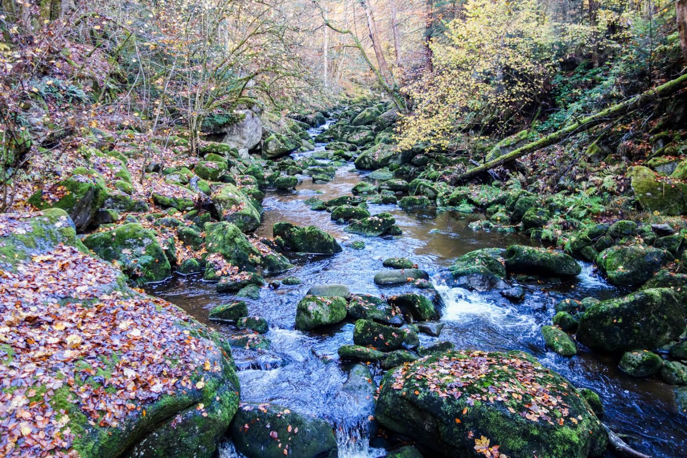 Ein Abstecher nach Büchlberg: Ein charmantes Ziel im südlichen Bayerischen Wald
