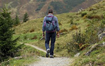 Hauzenberg - Bachwanderweg – Rundweg über 20 km