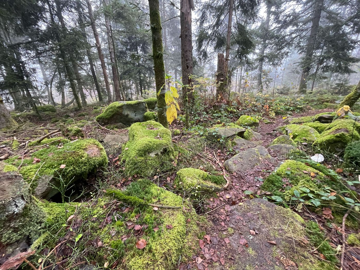 Entdeckungstouren in Büchlberg bei wechselhaftem Wetter: Tipps für ruhige Urlaubstage