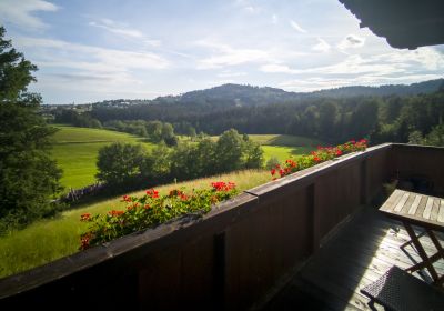 Premiumwohnung 1103 Dreisessel