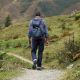 Bachwanderweg – Rundweg über 20 km