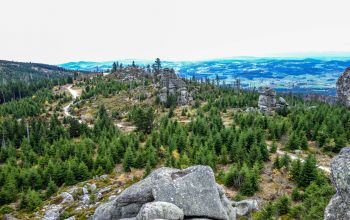 Entdecken Sie den Bayerischen Wald