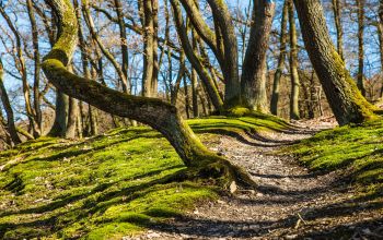 Wanderung am Schmugglerweg