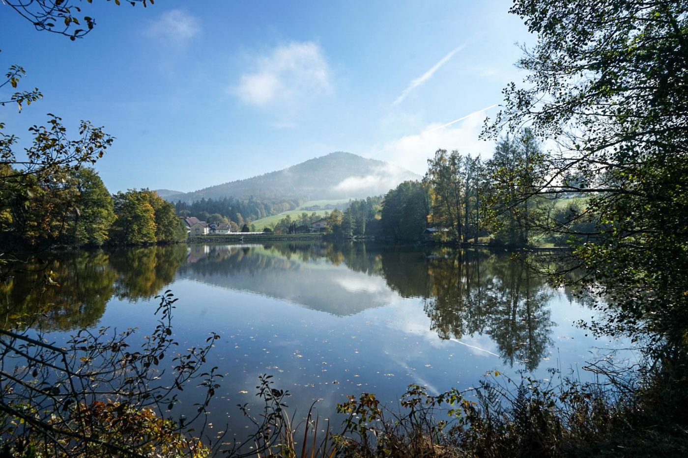 Nachhaltiger Urlaub im Bayerischen Wald – Natürlich erholen im Feriendorf Hauzenberg