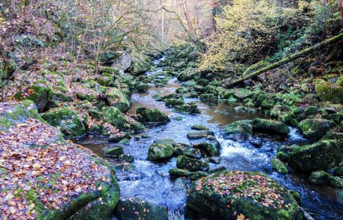 Ein Abstecher nach Büchlberg: Ein charmantes Ziel im südlichen Bayerischen Wald