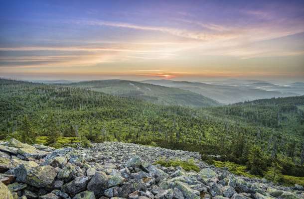 Warum sich ein Urlaub im Bayerischen Wald zu jeder Jahreszeit lohnt
