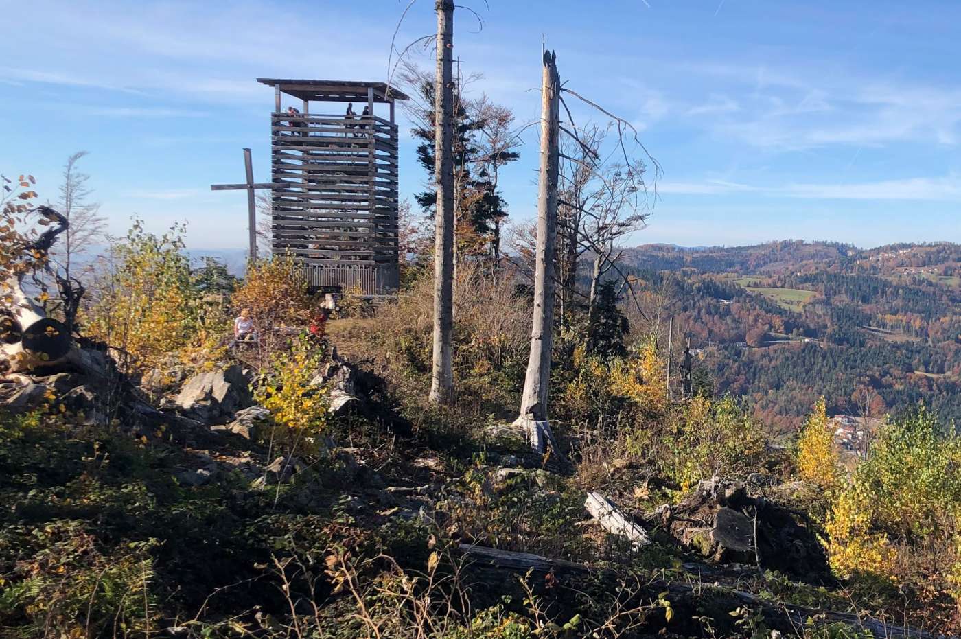 Frühlingszeit im Bayerischen Wald: Leichte Ausflüge für Genießer und Naturfreunde
