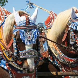 Die Hauzenberger Dult – Tradition trifft Geselligkeit