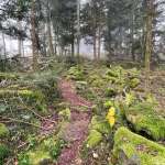 Ruhmannsberg – Wanderweg