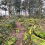 Ruhmannsberg – Wanderweg