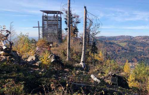 Frühlingszeit im Bayerischen Wald: Leichte Ausflüge für Genießer und Naturfreunde
