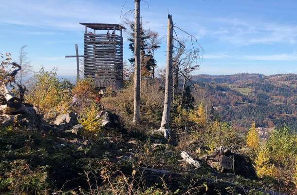 Frühlingszeit im Bayerischen Wald: Leichte Ausflüge für Genießer und Naturfreunde