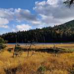 Der große Arbersee