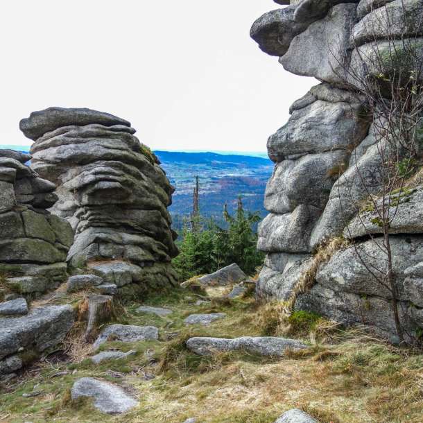 Bayerischer Wald